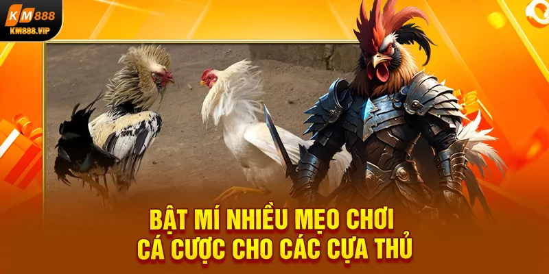 Bật mí nhiều mẹo chơi cá cược cho các cựa thủ