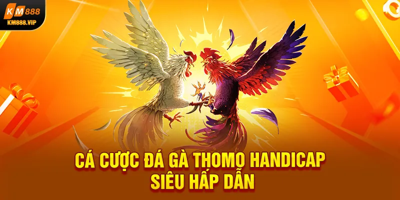 Cá cược đá gà Thomo handicap siêu hấp dẫn