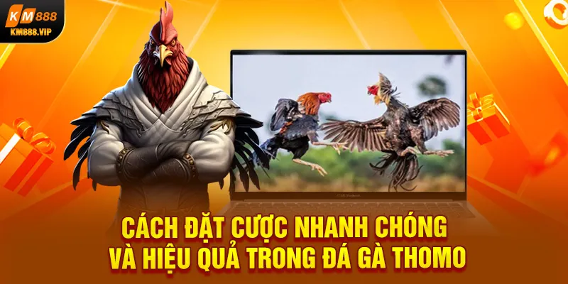 Cách đặt cược nhanh chóng và hiệu quả trong đá gà Thomo