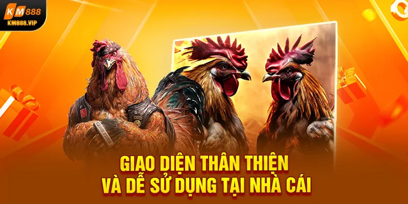 Giao diện thân thiện và dễ sử dụng tại nhà cái