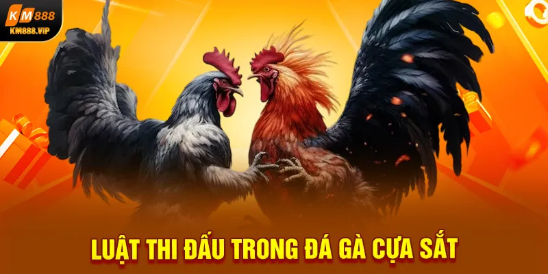 Luật thi đấu trong đá gà cựa sắt