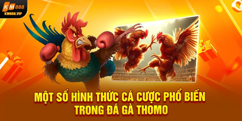 Một số hình thức cá cược phổ biến trong đá gà Thomo