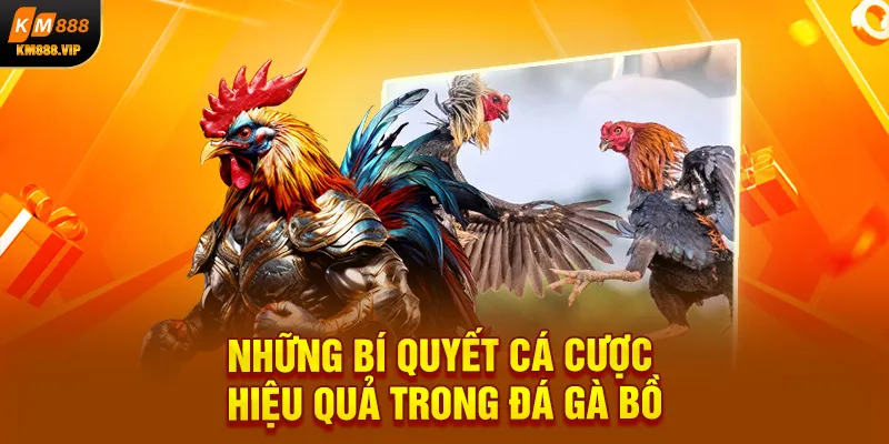 Những bí quyết cá cược hiệu quả trong đá gà bồ