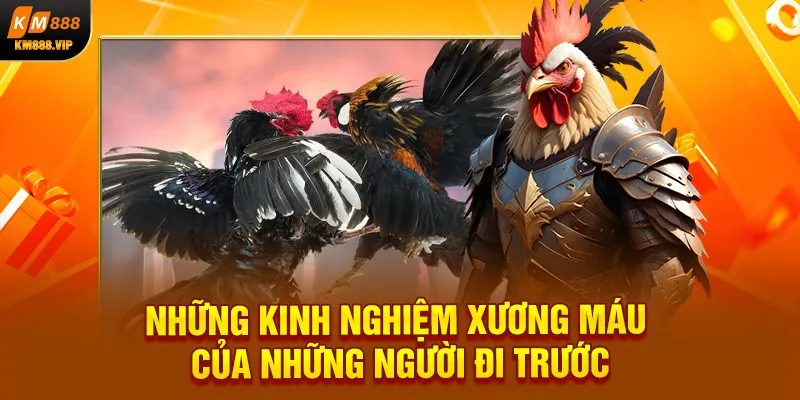 Những kinh nghiệm xương máu của những người đi trước