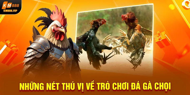 Những nét thú vị về trò chơi đá gà chọi