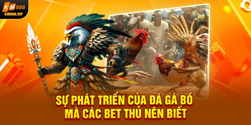 Sự phát triển của đá gà bồ mà các bet thủ nên biết