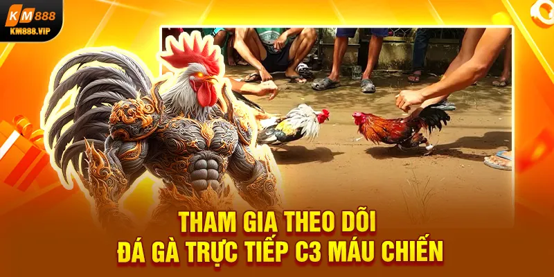 Tham gia theo dõi đá gà trực tiếp c3 máu chiến