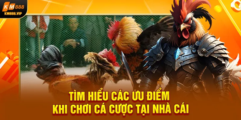 Tìm hiểu các ưu điểm khi chơi cá cược tại nhà cái